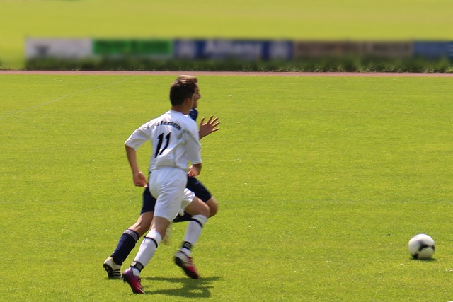 为了便利于 为了便利于