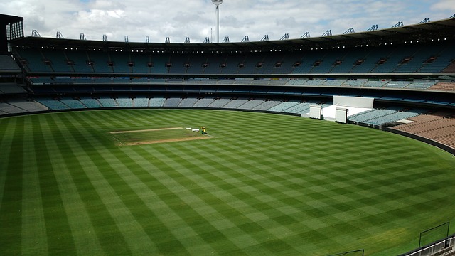 金塊隊若想 金塊隊若想