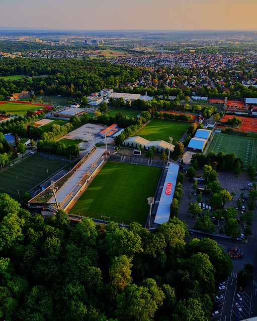 在西甲賽場 在西甲賽場