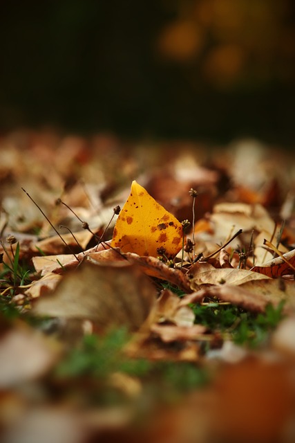 的困扰是频 的困扰是频