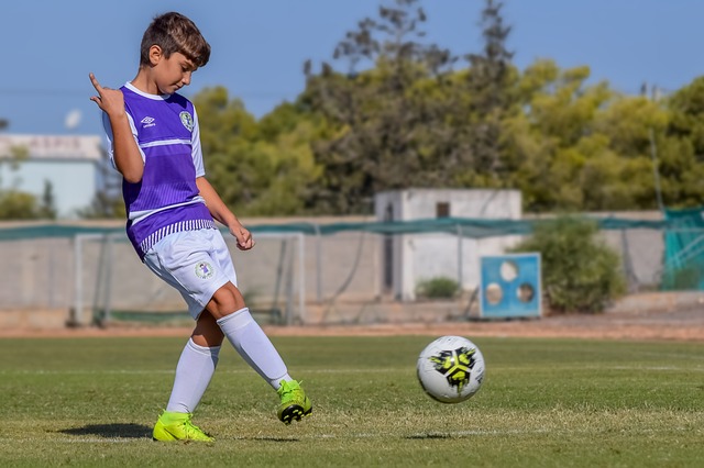 最后几个季 最后几个季