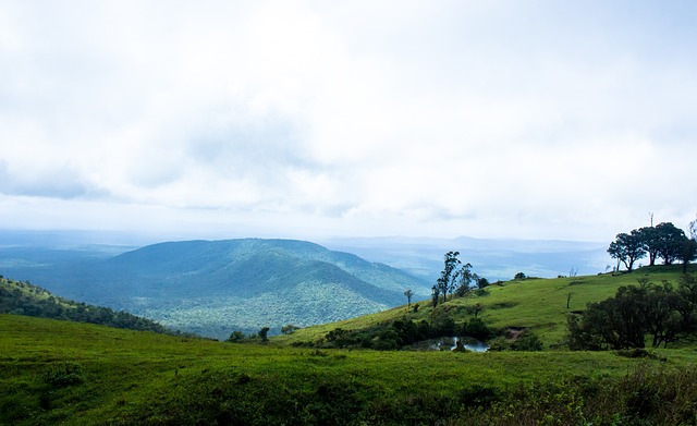 与责任担当 与责任担当