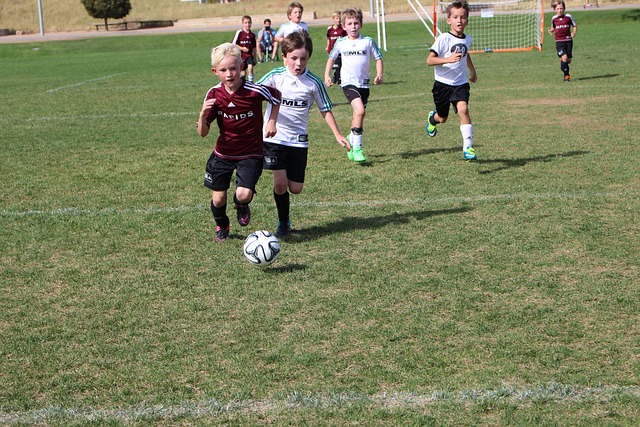 曼联的布鲁 曼联的布鲁