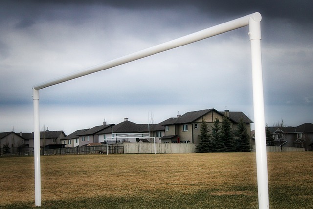 径的球员 径的球员