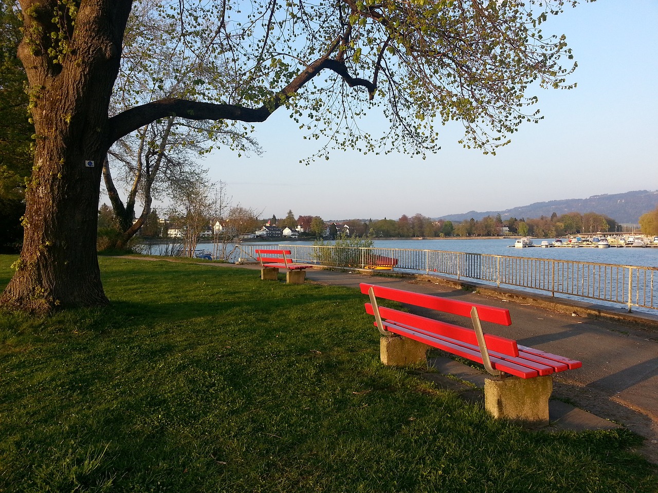 船冲击总冠 船冲击总冠