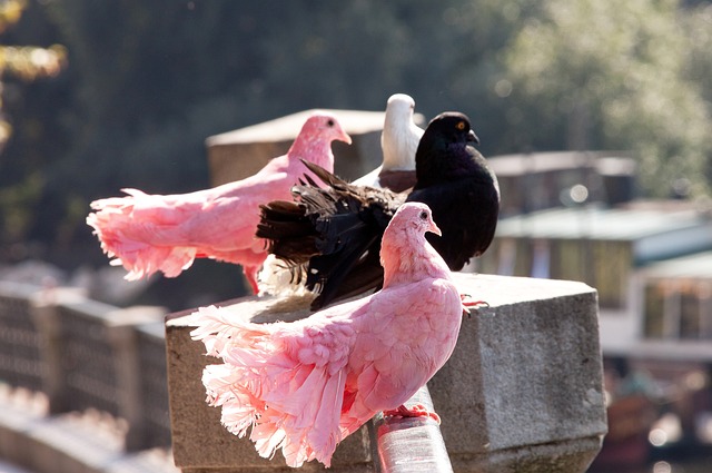 够起到保护 够起到保护