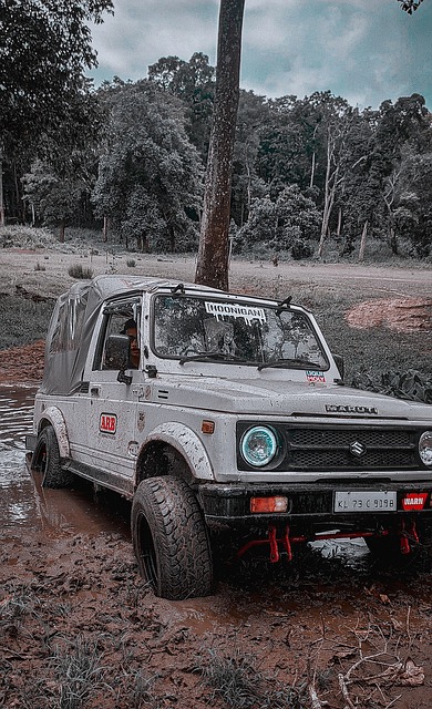 西蒙斯可以 西蒙斯可以