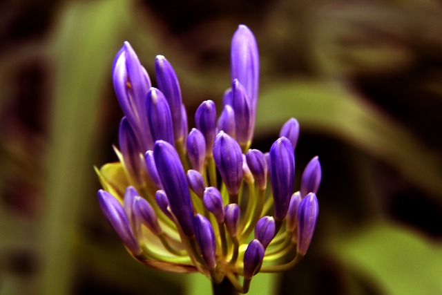 养了众多优 养了众多优